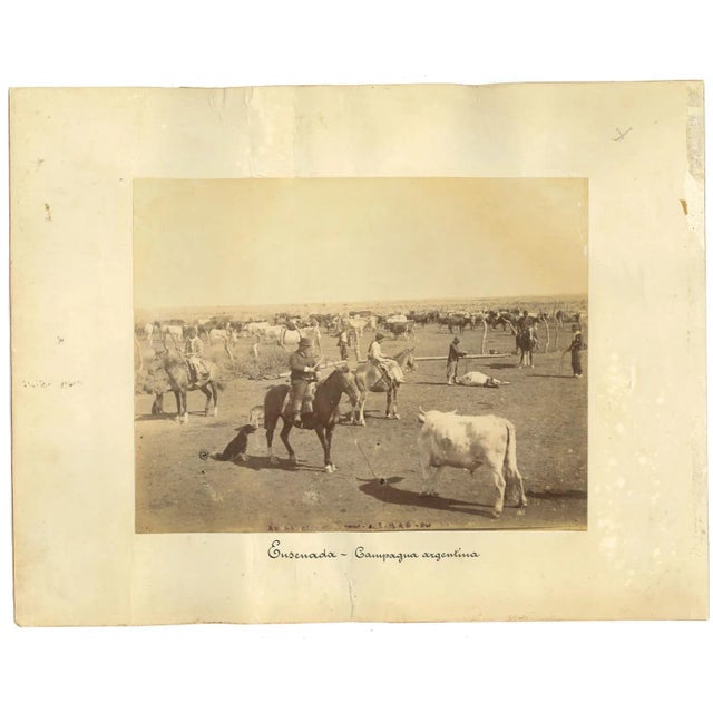 Ancient Landscape in Ensenada - Mexico - is a vintage albumen print made in 1880s In very good condition, applied on a...
