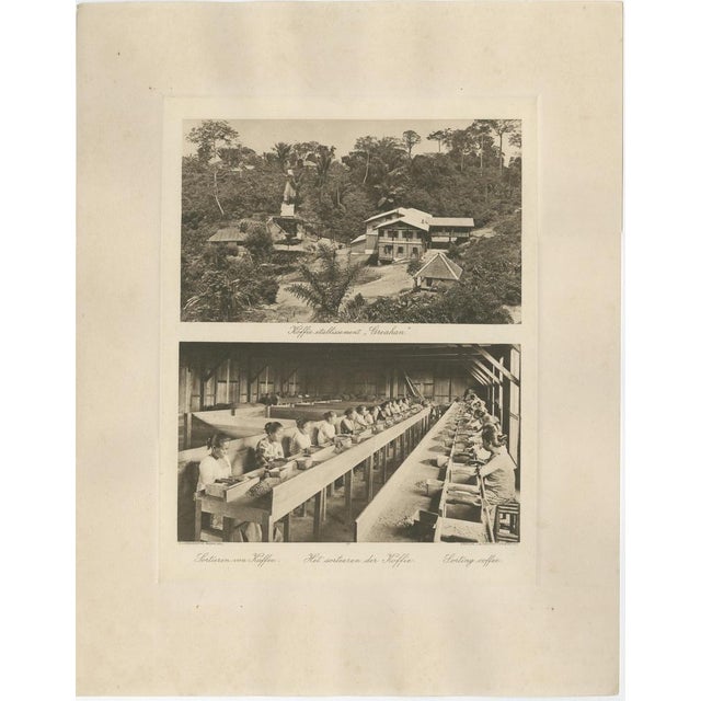 Coffee Establishment Girsahan and Sorting Coffee, 1890s, Paper For Sale - Image 9 of 9