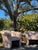 Vintage Postmodern Sculptural Lounge Chairs, Pair – Oversized Upholstered Accent Chairs For Sale In Tampa - Image 6 of 8