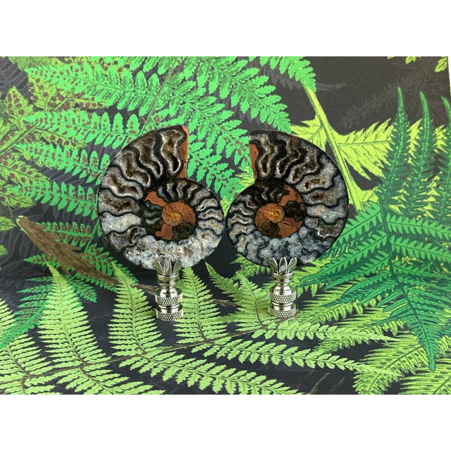 Split Ammonite Fossil Lamp Finials on Chrome Hardware - a Pair For Sale In Madison - Image 6 of 6
