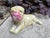 A charming and unusual vintage Chinese ceramic Shar Pei dog figurine, finished in a pale yellow celadon glaze with...