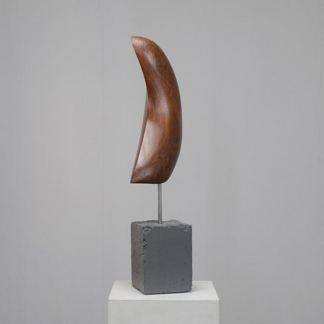 Ineke Van Zuuren, Organic Abstract, 1980s, Concrete & Teak For Sale - Image 4 of 10