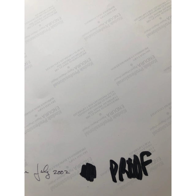 2000 - 2009 Peter C. Jones 1, Basket of Lilies, Large Format Flowers Photo 24X20 Color Photograph Beach House, 2002 For Sale - Image 5 of 8