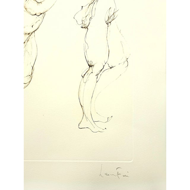 Early 21st Century Leonor Fini - Playful Cat - Original Handsigned Lithograph 1986 For Sale - Image 5 of 9