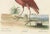 Title: Der Rote Brachvogel - Hand-Colored Engraving of the Red Curlew by Johann Michael Seligmann, 18th Century This vivid...