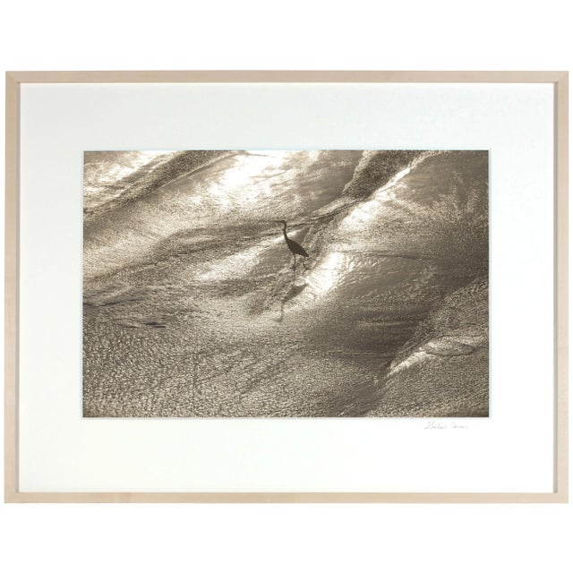Gaetan Caron Gaétan Caron "Wading" Framed Color Photograph, Mendocino Coast, Ca, 2015 2015 For Sale - Image 4 of 6