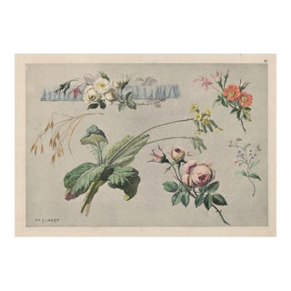 C1900 French Antique Art Nouveau Botanical Chromolithograph For Sale