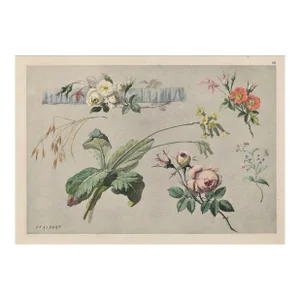 C1900 French Antique Art Nouveau Botanical Chromolithograph