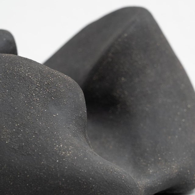 David Nobaru, Biomorphic Sculpture 0002, 2020, High-Fired Clay For Sale - Image 12 of 14