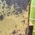 Antique iron advertising sign for sparkling wines and Vermouth. 1940s. Normal wear. Size 80 x 58 cm.