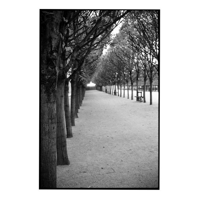Paul Cooklin, Royal Palace Garden, Paris, Edition of 50 For Sale