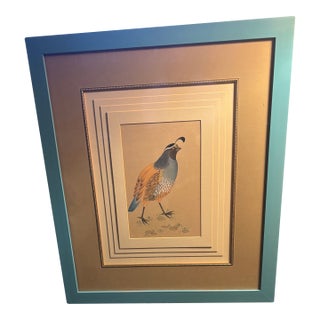 Original Vintage California Field Quail … 5 Mat Framed Drawing Under Glass For Sale