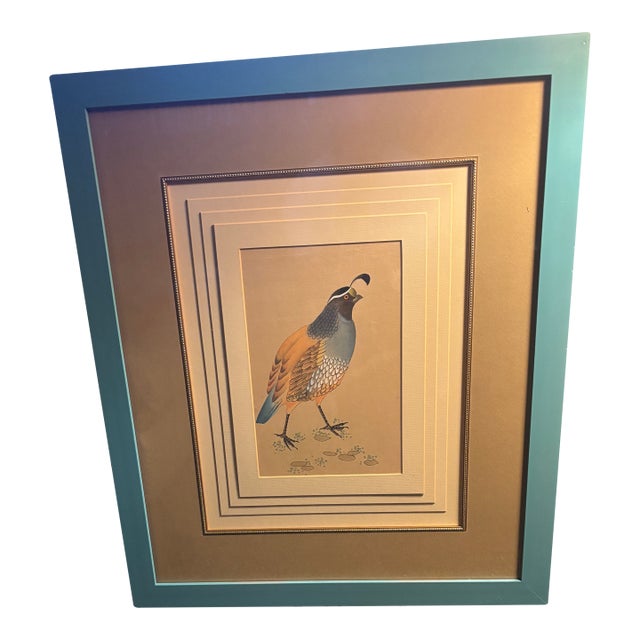 Original Vintage California Field Quail … 5 Mat Framed Drawing Under Glass For Sale