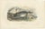 After Édouard Traviès, The Sperm Whale, 1840, Hand-Colored Engraving For Sale - Image 3 of 9