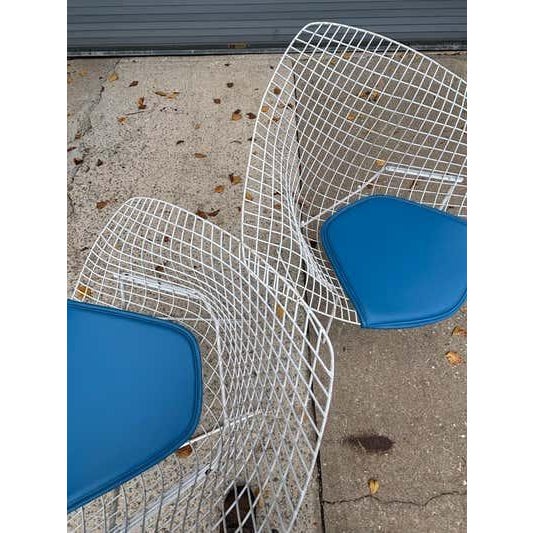 Bertoia for Knoll Small Diamond Chairs, Mid-Century Modern, USA For Sale - Image 9 of 10