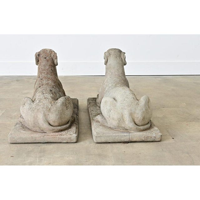 Early 20th Century Early 20th Century English Pair of Cast Stone Whippet Garden Statues For Sale - Image 5 of 10