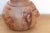 Ceramic Pre Columbian Terracotta Moche Effigy Vessel For Sale - Image 7 of 9