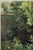 Not Yet Made - Made To Order Vintage French Garden Art Print – Pink Roses & Green Landscape by Pissarro, 18" X 24" For Sale - Image 5 of 9