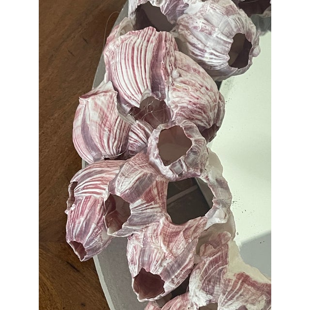 Glass 1970s Coastal Sculptural Barnacles Clusters Shell Round Mirror For Sale - Image 7 of 7