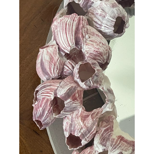Glass Round Grotto Barnacles Shell Mirror For Sale - Image 7 of 7