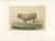French Artist, Comtois Bull, 1873, Paper For Sale - Image 3 of 12