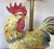 Vintage Large Ceramic Rooster Lamp on Wood Base For Sale - Image 9 of 17
