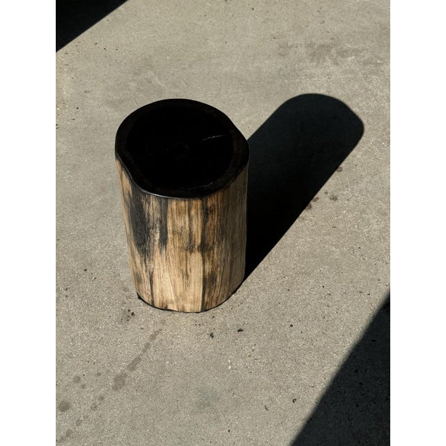 Petrified Wood Side Table with Black Heart For Sale - Image 4 of 18
