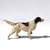 Metal Painted Cast Iron Hunting Dog, English, Circa 1900 For Sale - Image 7 of 7