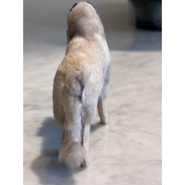 Victorian 1900s Borzoi Bru Kestner Jumeau Bleuette Fashion Doll Germany Label 4” Fur Salon Dog For Sale - Image 3 of 8