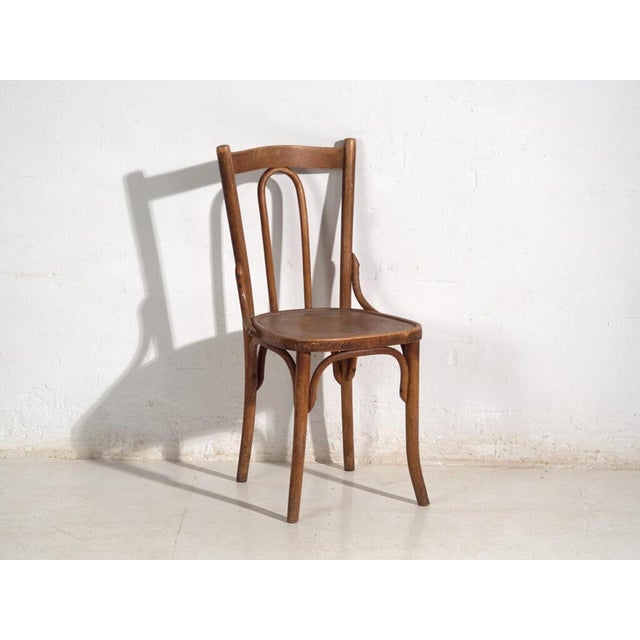 Antique Bentwood Chairs, Central Europe, 1900s, Set of 6 For Sale - Image 11 of 16