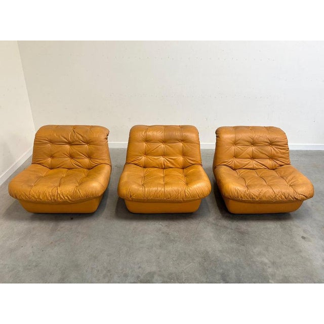 Animal Skin Vintage Lounge Chairs, 1970s, Set of 3 For Sale - Image 7 of 14
