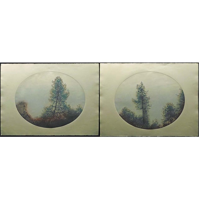 Catherine O'Connor "Spring Pines I & Ii" 2 Hand Signed Fine Art Etchings, Trees For Sale - Image 4 of 12