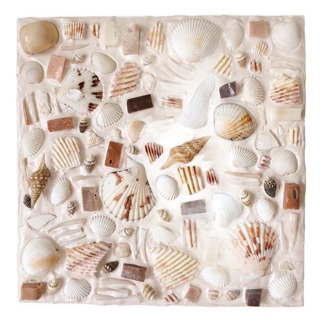 "Cabo" Shell Artwork For Sale