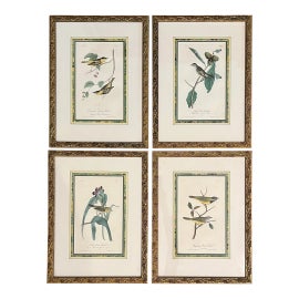 Example of John James Audubon Prints