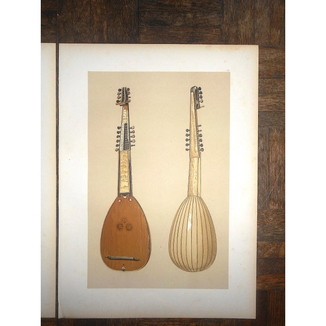 Antique Ltd. Ed. LithographsMusical String Instruments Lute & Theorbo
