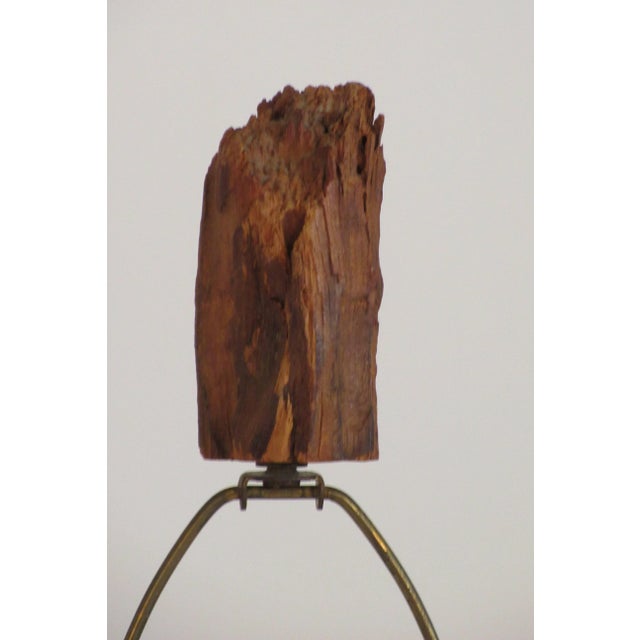 Brown 1960s Drift Wood Lamp With Final For Sale - Image 8 of 9