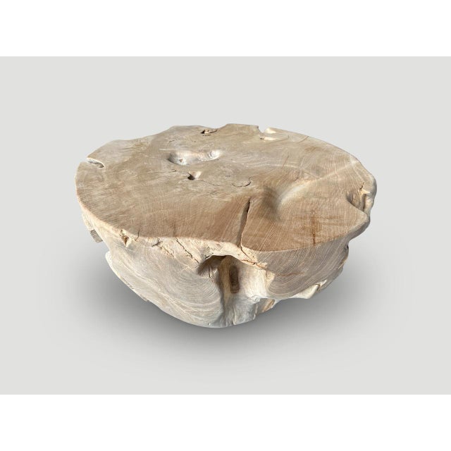 2010s Andrianna Shamaris Organic Bleached Teak Wood Coffee Table For Sale - Image 5 of 6