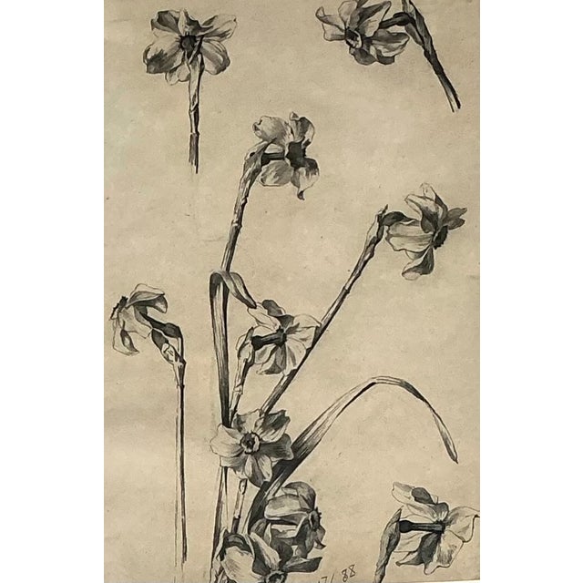 Framed Botanical Drawing With Gold Detailing For Sale - Image 10 of 14
