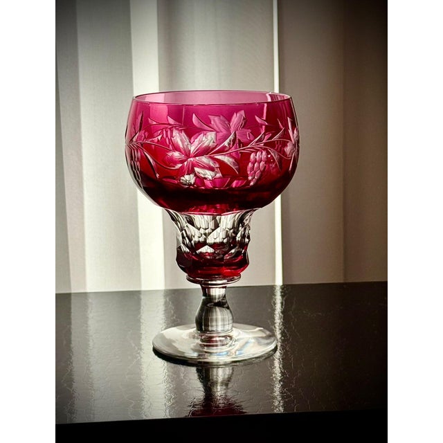 Vintage Vignes Ruby Crystal Wine Goblets from Val Saint Lambert, 1950, Set of 10 For Sale - Image 9 of 18