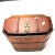 Large Wooden Antique Chinese Wedding or Money Chest Trunk For Sale - Image 9 of 12