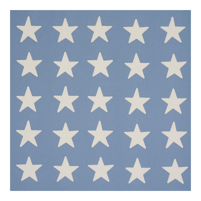 Sample - Schumacher Starfield Appliqué Fabric in Sky For Sale