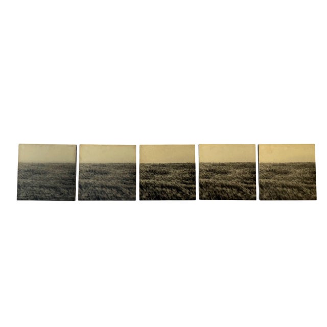 Set of 5 photographs on wood panel Gerry Hunt (1927 - 2023), United Kingdom 1977 Early works “Viewpoint Dimas Head” 1977 -...