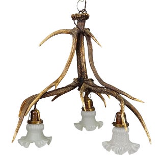 Rustic Black Forest Ceiling Lamp With Deer Antlers 1920s For Sale