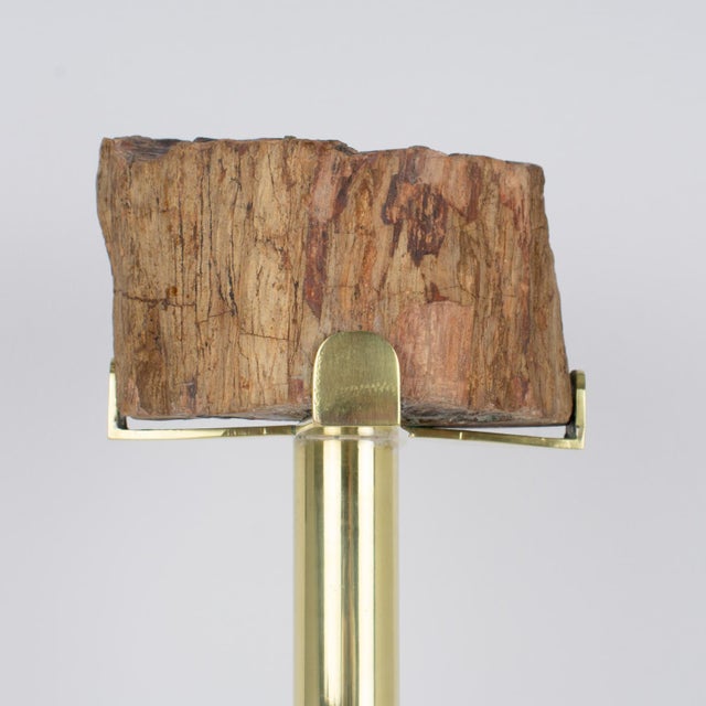 1960s Mid-Century Brass and Petrified Wood Ashtray Vide Poche Side Table, circa 1960 For Sale - Image 5 of 14