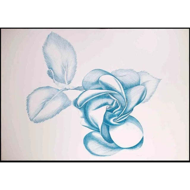 Blue Rose is an original contemporary artwork realized by Giacomo Porzano in 1970s. Colored etching Hand-signed on the...