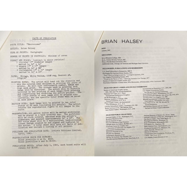 Paper Brian Halsey Alpha v Serigraph Ap 3/12 State Ii/Iv Signed Unframed For Sale - Image 7 of 8