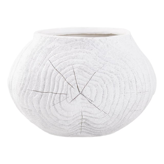 Faux Bois Round Bowl in a White Washed Polyresin For Sale