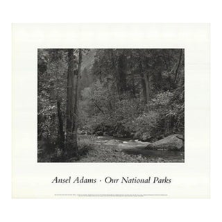 Ansel Adams Tenaya Creek, Dogwood, Rain, Yosemite National Park, 1992 Lithograph For Sale