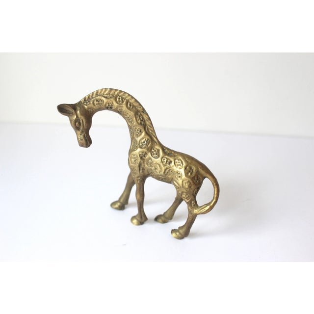 Metal Vintage Small Pair of Vintage Brass Giraffe Figurines For Sale - Image 7 of 8