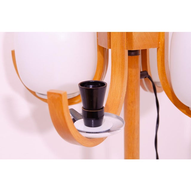 Atomic Age Hotel Floor Lamp, Czechoslovakia, 1970s For Sale - Image 18 of 18